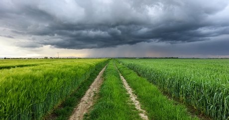 July’s prairie storms caused 48M in damage: IBC